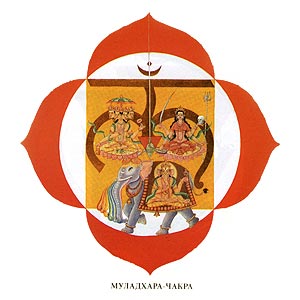 Муладхара